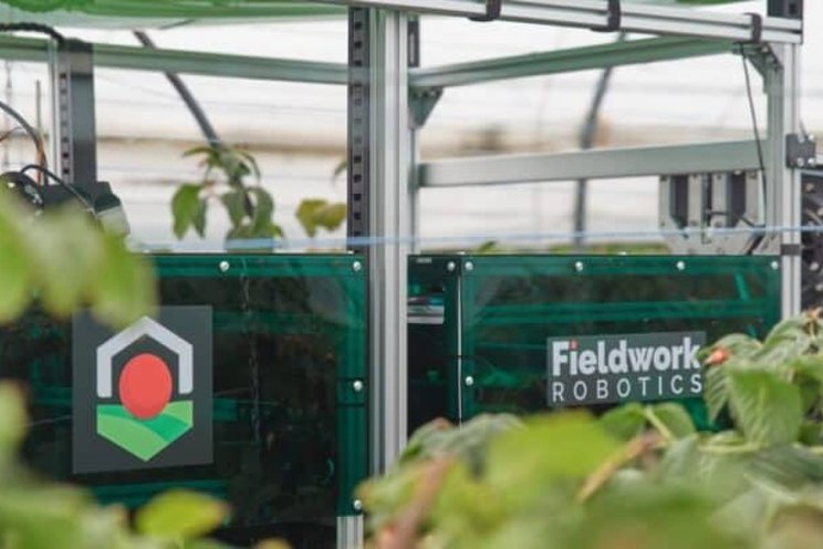 Raspberry-picking robot startup picks up £1.5m funding