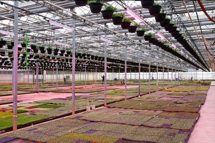 What to know when applying for an LED rebate program What to know when applying for an LED rebate program
