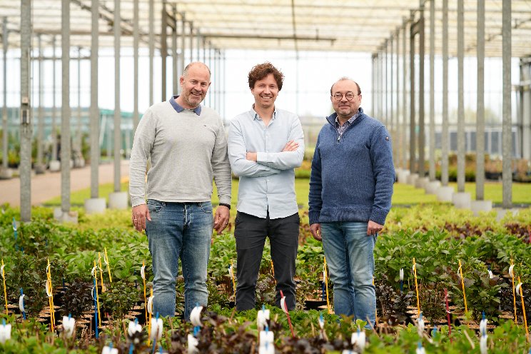 Visit FlowerTrials at a brand new location Visit FlowerTrials at a brand new location