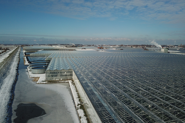 Leaving a greenhouse empty? Prevent damage!