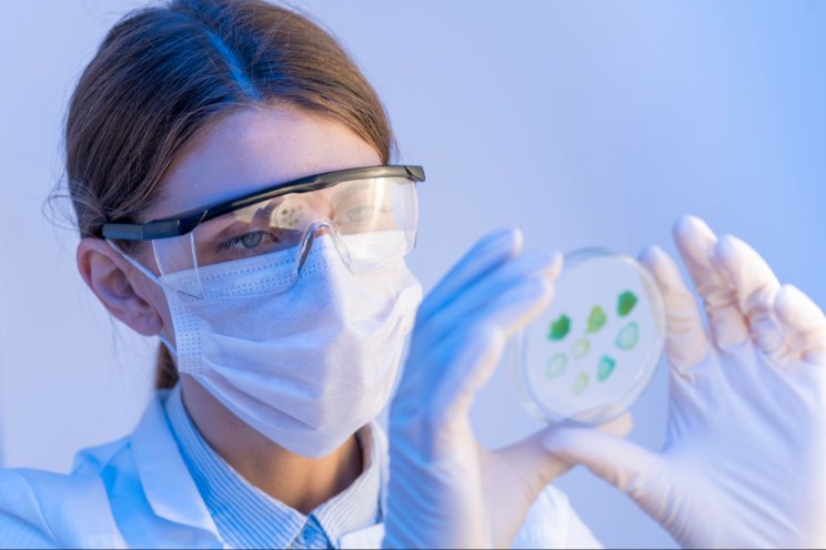 Maylasia embraces nanotechnology to boost food security Maylasia embraces nanotechnology to boost food security