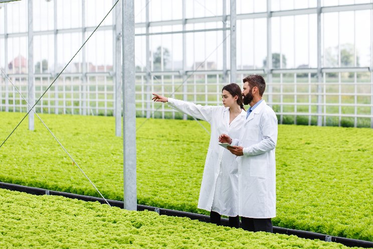 New $75M propagation greenhouse at Glencoe opens New $75M propagation greenhouse at Glencoe opens