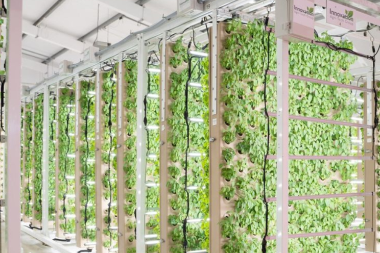 New 'revolutionary’ vertical farming tech unveiled