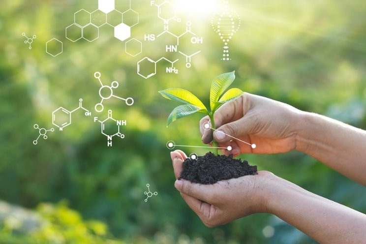 Bionema stimulates organic growth with a new range of biostimulants Bionema stimulates organic growth with a new range of biostimulants