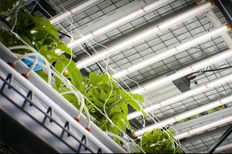 Upgrading lighting while preserving environmental control