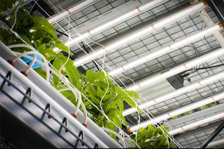 Upgrading lighting while preserving environmental control Upgrading lighting while preserving environmental control