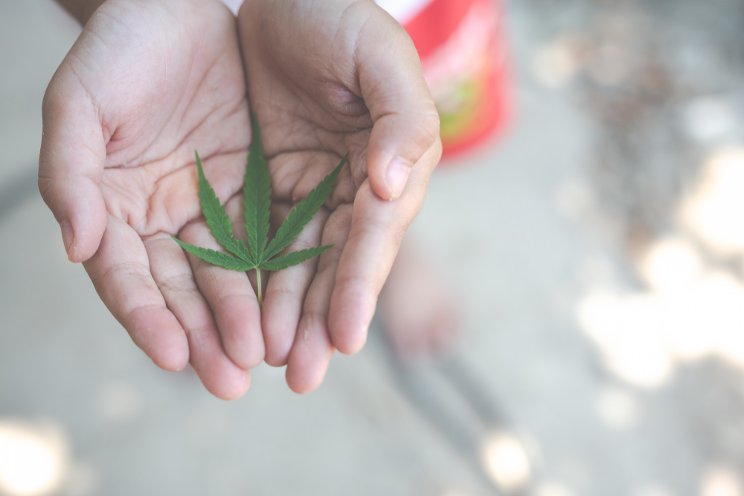 Ukraine races to save its medical cannabis supply Ukraine races to save its medical cannabis supply