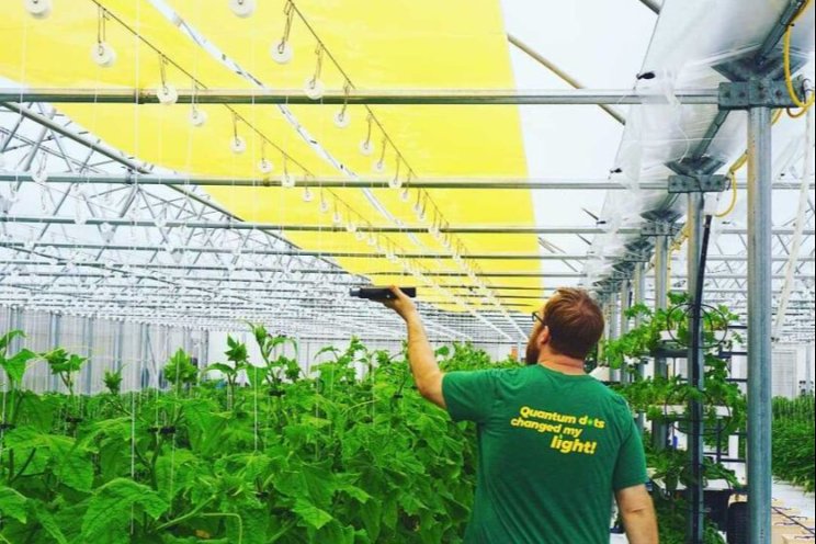 UbiGro aims for innovation in how growers optimize sunlight
