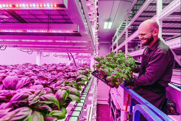The Wall: A new generation of indoor farming The Wall: A new generation of indoor farming