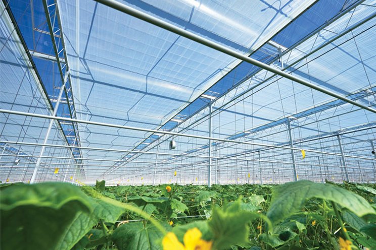 Overcoming the challenges of greenhouse climate management Overcoming the challenges of greenhouse climate management