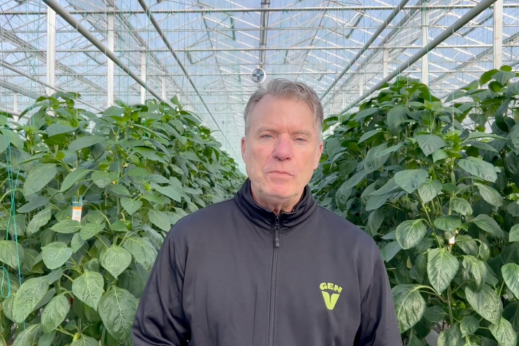 New FVGC videos detail impact of carbon taxes on greenhouse growers