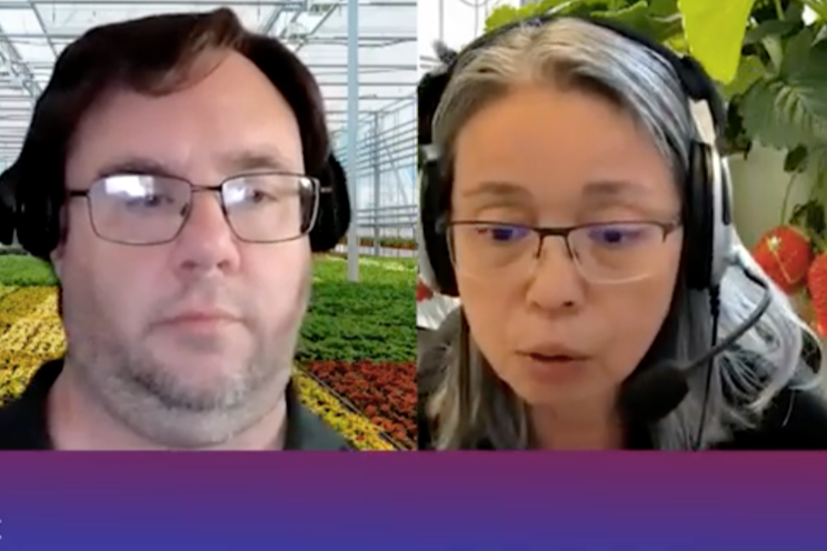 Advancements in CEA crop production Advancements in CEA crop production
