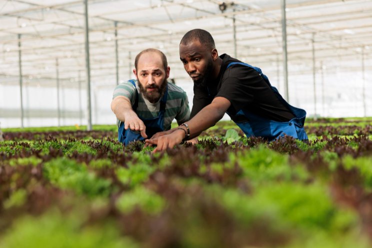 A program that supports immigrant farmers in central Iowa A program that supports immigrant farmers in central Iowa