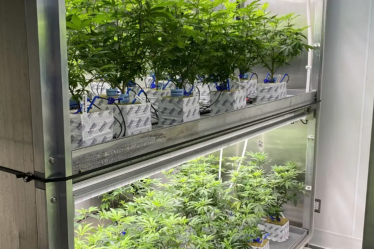 Agrify faces Nasdaq listing compliance challenges Agrify faces Nasdaq listing compliance challenges