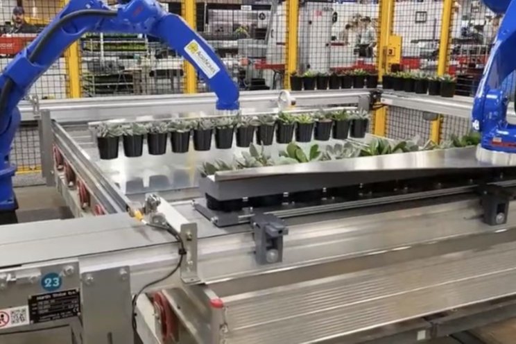 Labor challenges spur greenhouse tech innovations Labor challenges spur greenhouse tech innovations