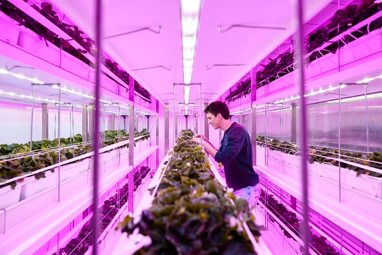 Behind the scenes of indoor farming Behind the scenes of indoor farming