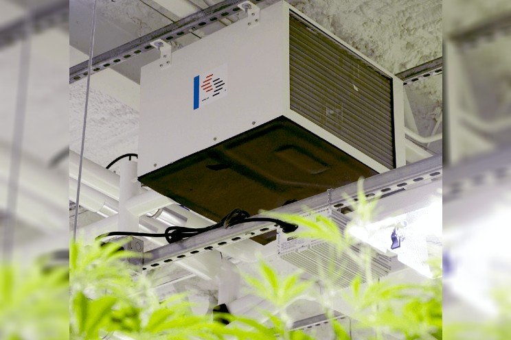 Do I need a dehumidifier for cannabis?