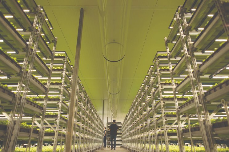 How growers are future-proofing with flexibility