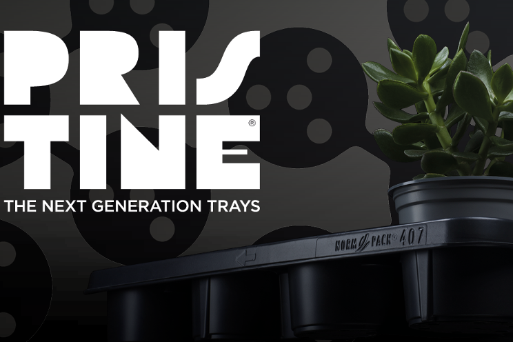 Modiform launches the next generation trays: Pristine Modiform launches the next generation trays: Pristine