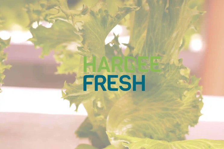 Hardee Fresh collaborates with VoltServer for innovative VF solutions Hardee Fresh collaborates with VoltServer for innovative VF solutions