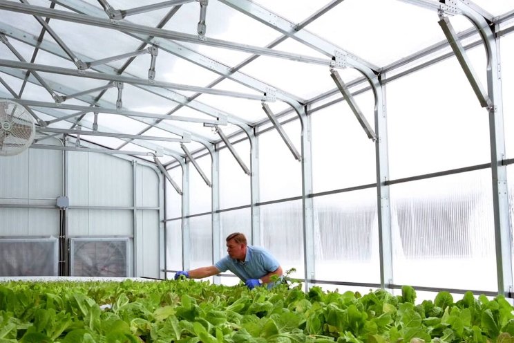 4 top considerations when selecting a greenhouse covering