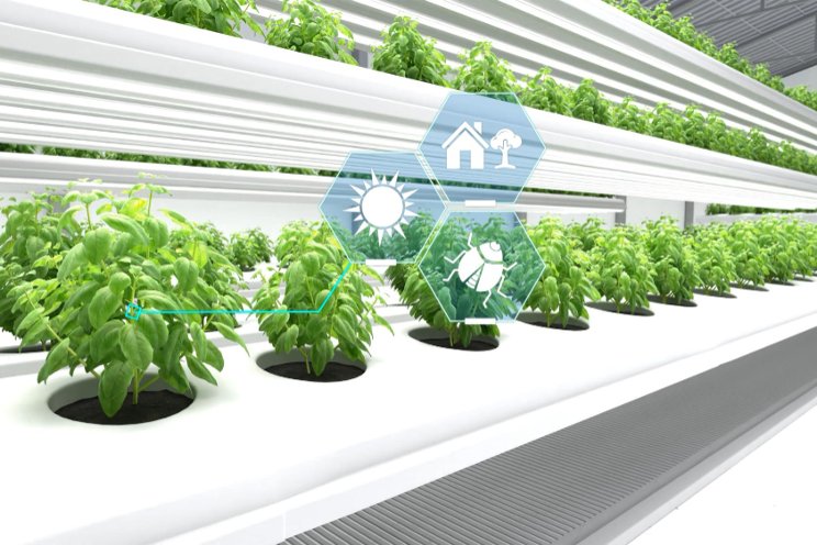 AI analyzes leaf temperature to identify water needs AI analyzes leaf temperature to identify water needs