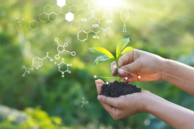 Bionema Group launches tender for innovative plant health solutions Bionema Group launches tender for innovative plant health solutions