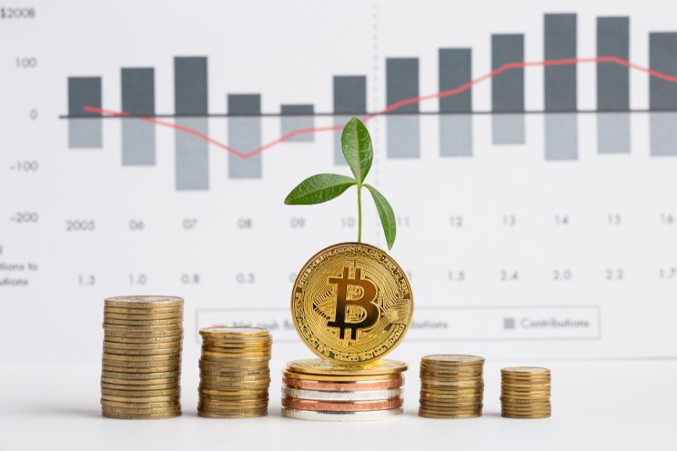 Dutch use bitcoin mining to grow tulips Dutch use bitcoin mining to grow tulips