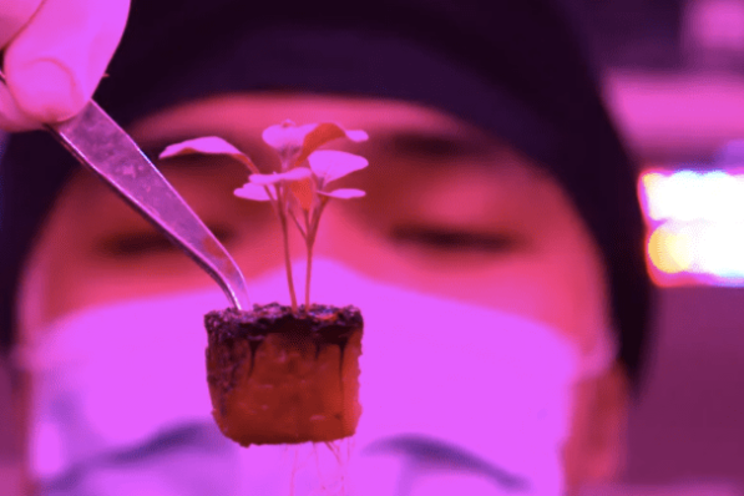 How far can vertical farming go? How far can vertical farming go?