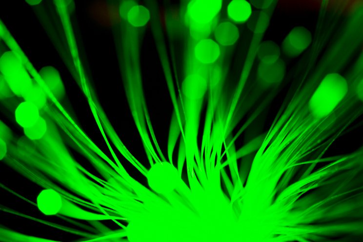 Dialing in your grow lights Dialing in your grow lights