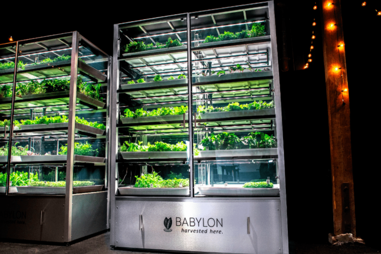 Babylon Micro-Farms embraces hyperlocal food production