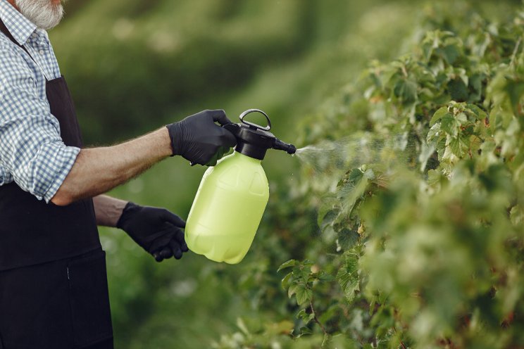 EU abandons plan to reduce use of pesticides by half