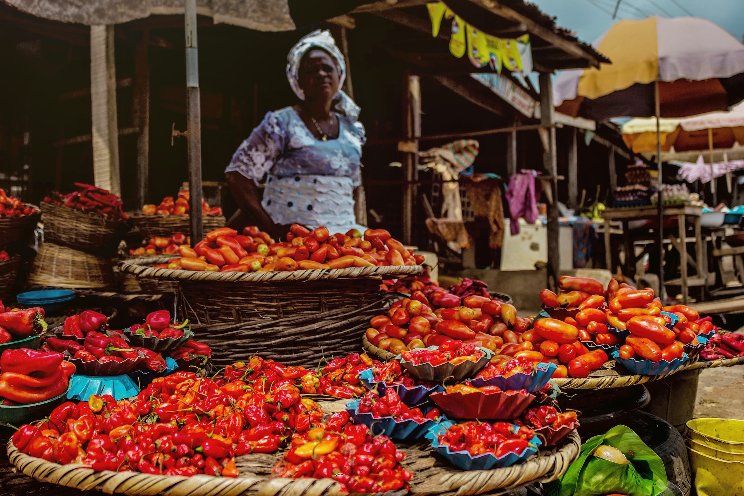 Nigeria's 60% tomato losses spotting chances