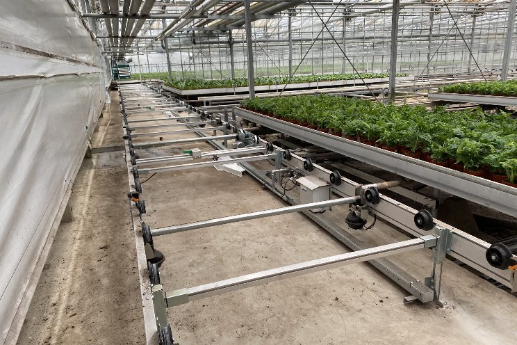 Logiqs collaborate with VDE plant, a tropical plant nursery
