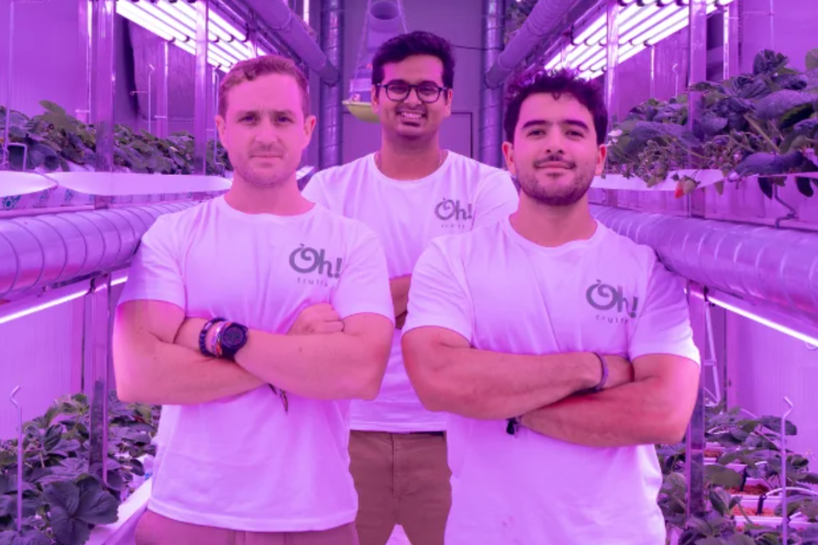 The Fragaria: 'If you cannot hire them, join them' The Fragaria: 'If you cannot hire them, join them'