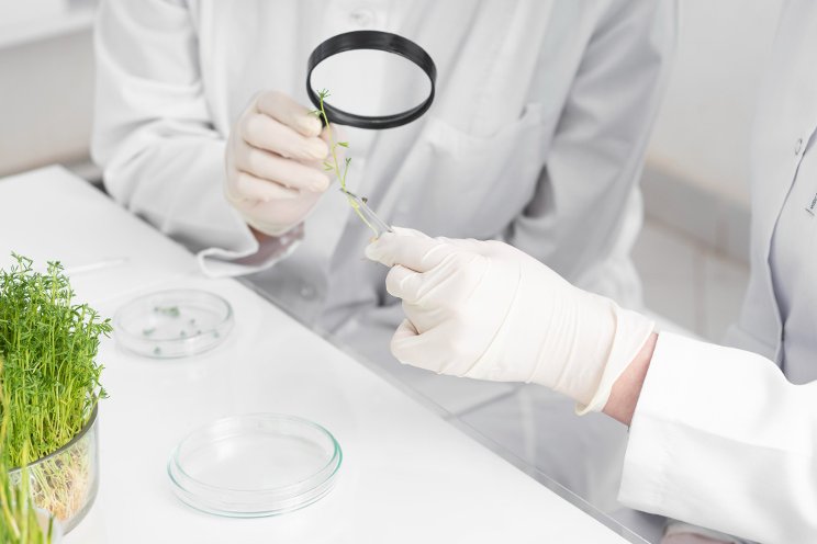 Bioworks introduces EpiShield Bioworks introduces EpiShield