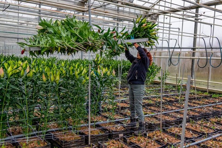 Protect your greenhouse from worst-case scenarios Protect your greenhouse from worst-case scenarios