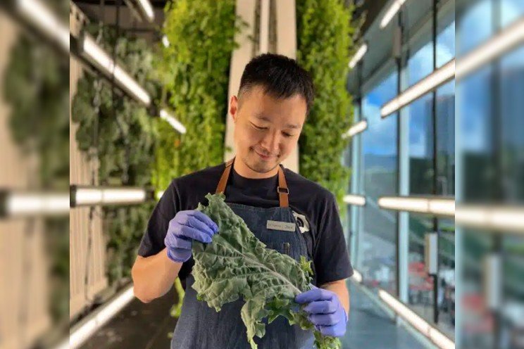 The Farm Club by Agrician – urban farming “magic” The Farm Club by Agrician – urban farming “magic”
