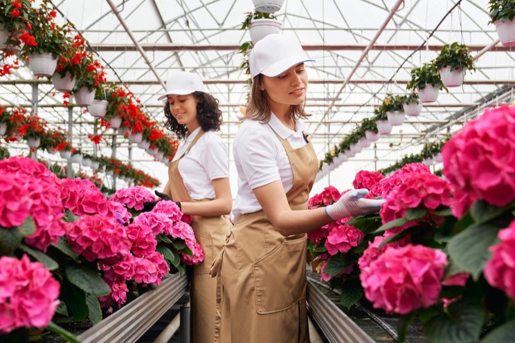 What to expect at the Greenhouse Growers Expo
