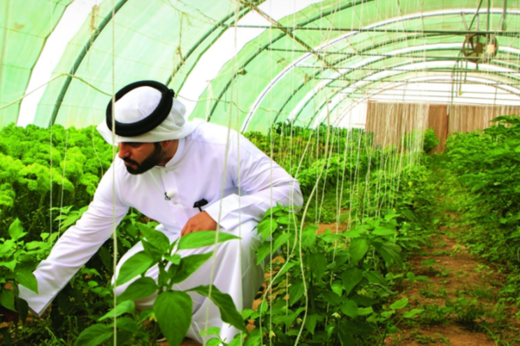 Qatar-Based Farm wins NxG Award