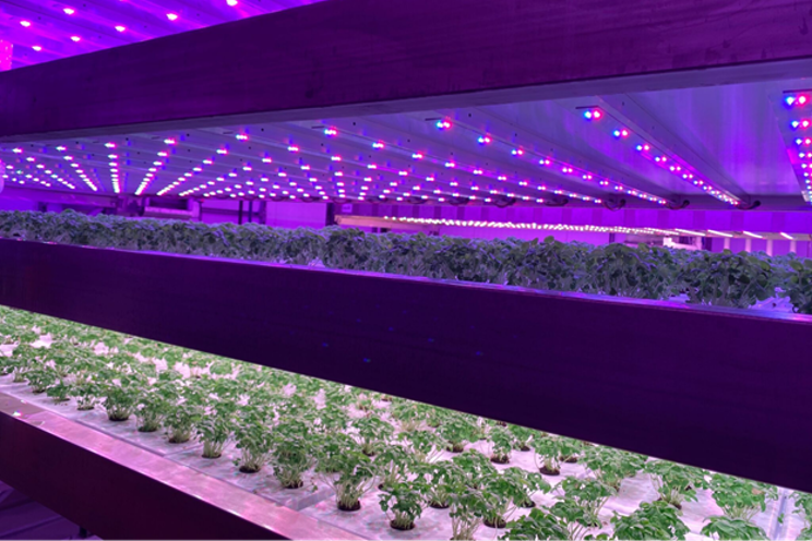 Is AgTech and VF right for my farming operation? Is AgTech and VF right for my farming operation?
