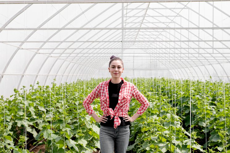 How technology is reducing CEA labor challenges How technology is reducing CEA labor challenges
