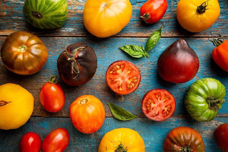 Thinking of growing controlled environment specialty crops? Thinking of growing controlled environment specialty crops?