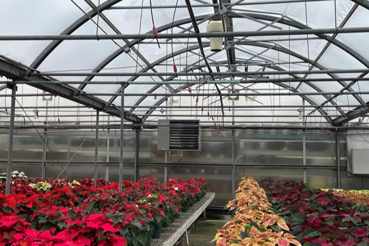 Prepping greenhouses with efficient heating solutions