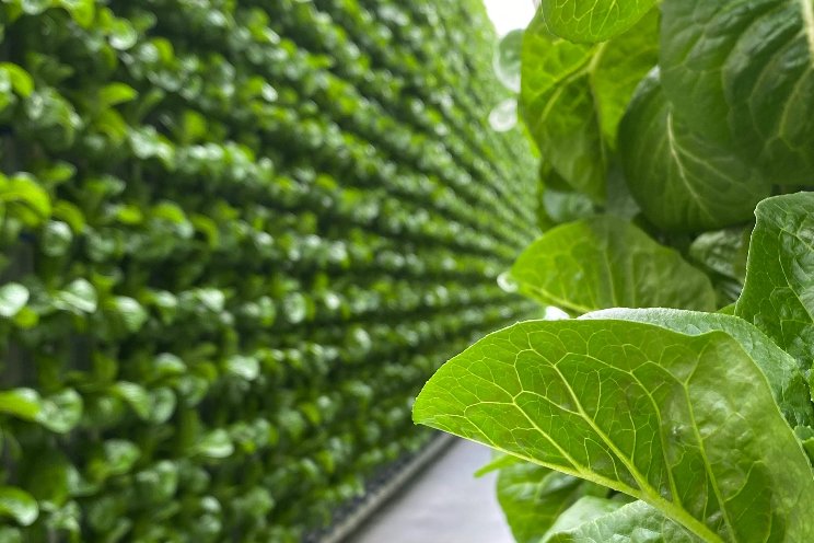 Investing in Eden Green Technology Investing in Eden Green Technology