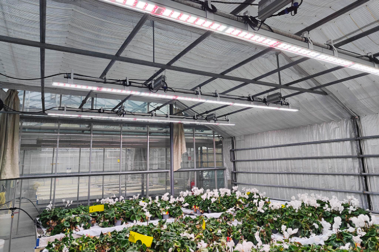 The power of real-time weather forecasts with Heliospectra LED
The power of real-time weather forecasts with Heliospectra LED
