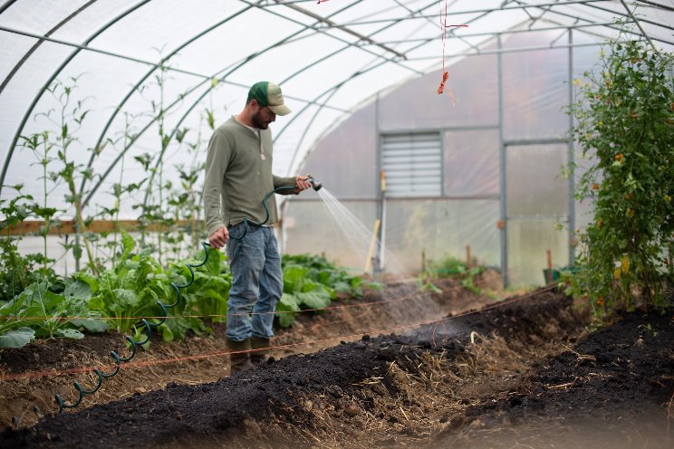 The differences btw greenhouse growers in US and Canada