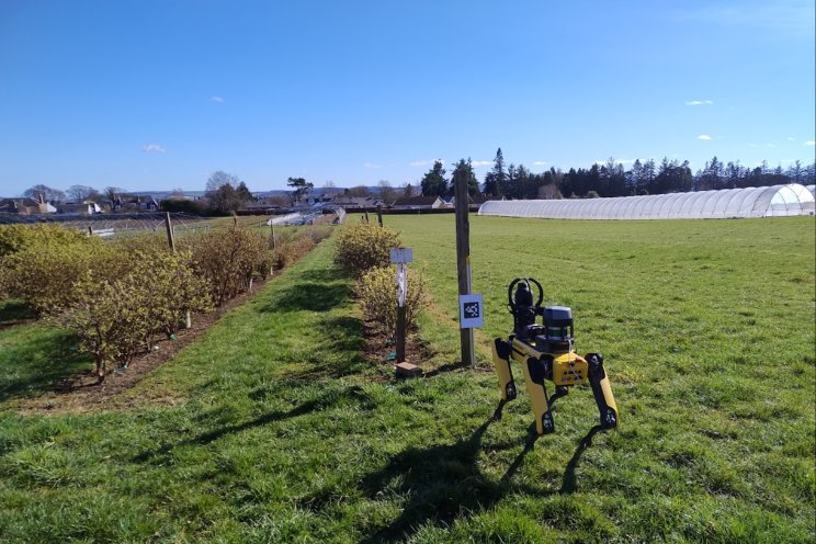 SPOT, the robot dog, demonstrates its skills SPOT, the robot dog, demonstrates its skills