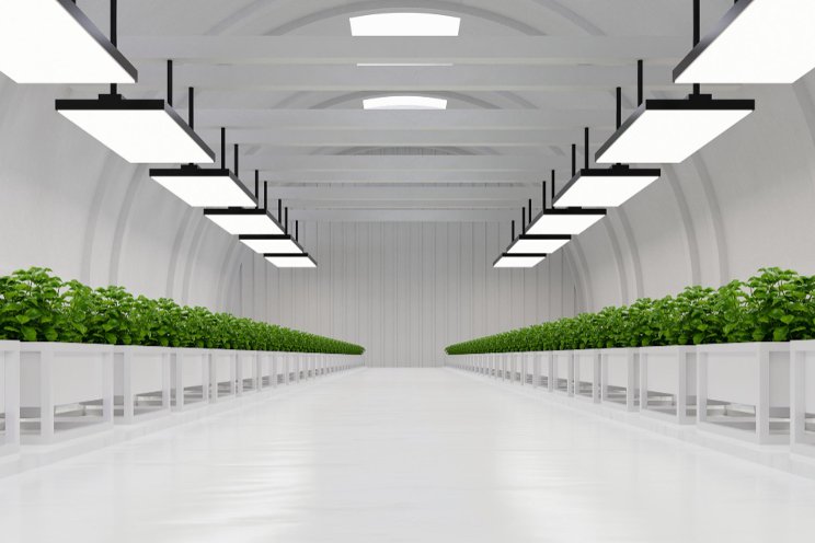 DLC forms Horticultural Controls Technical Working Group DLC forms Horticultural Controls Technical Working Group
