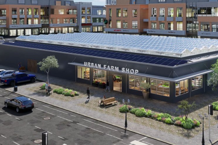 Urban Farm Shops combine Dutch greenhouse tech & food retail - Hortimedia